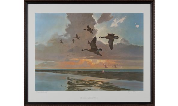 Big image rcad.aa.john.cowan.the.island