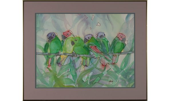 Big image rcad.aa.s.farley.parrots.