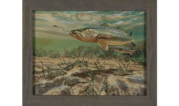 Big image rcad.aa.c.yarborough.trout