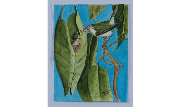 Big image rcad.aa.m.lindsey.momma.and.baby.wren