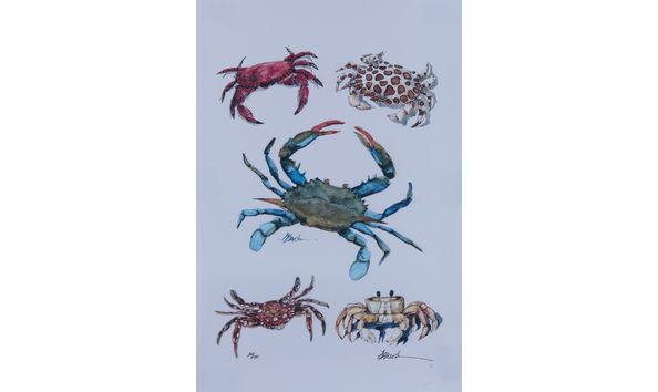 Big image rcad.aa.d.breeden.crabs