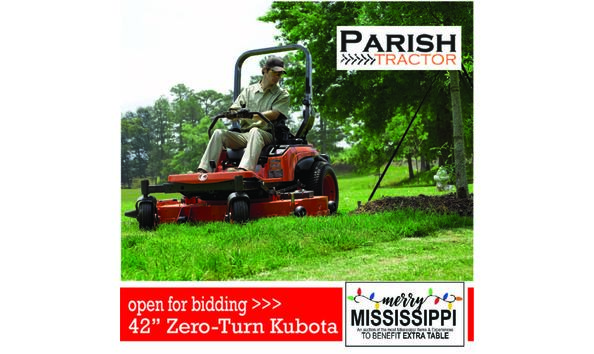 Big image day 2 post 3 mower 