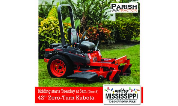 Big image day 2 post 1 mower