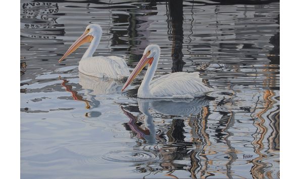 Big image rcad.aa.l.felder.two.pelicans.