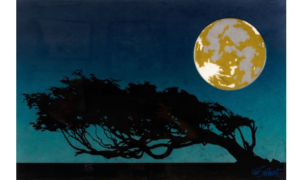 Big image rcad.aa.e.von.seibert.windswept.oak