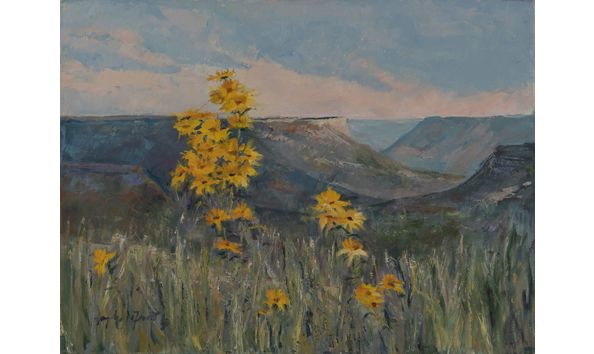 Big image rcad.aa.a.deforest.welcome.committee