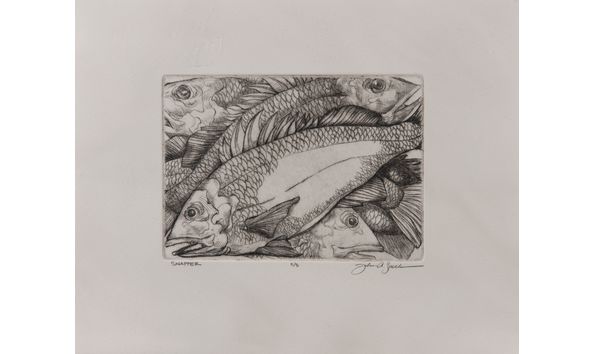 Big image rcad.aa.john.speck.snapper