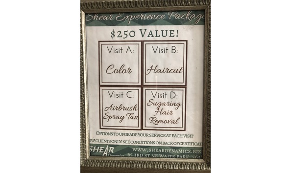 Big image sheardynamics