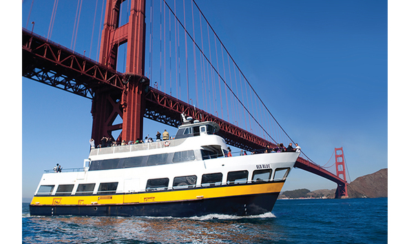 Big image blue   gold fleet