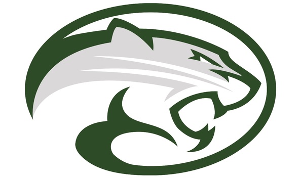 Big image 2015 nhs helmet logo hires 2