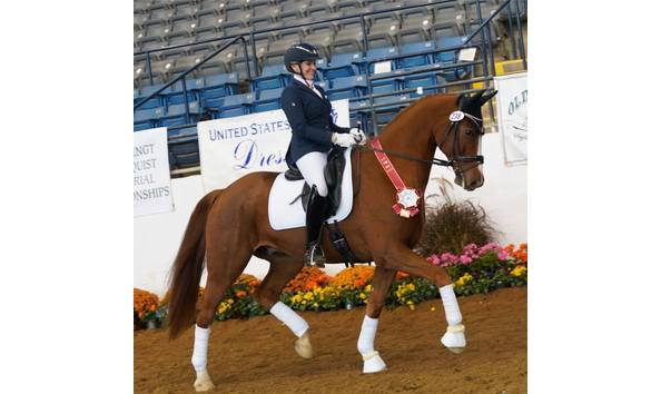 Big image mini magick20201227 15679 1mnpf7t