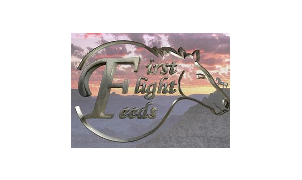 Big image mini magick20201227 15679 dblo2k