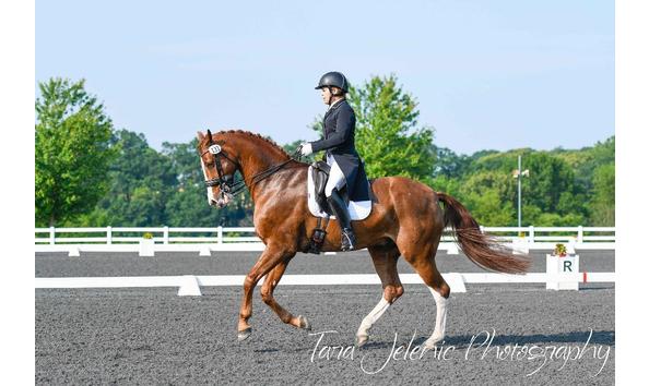 Big image mini magick20201230 47620 vu529r