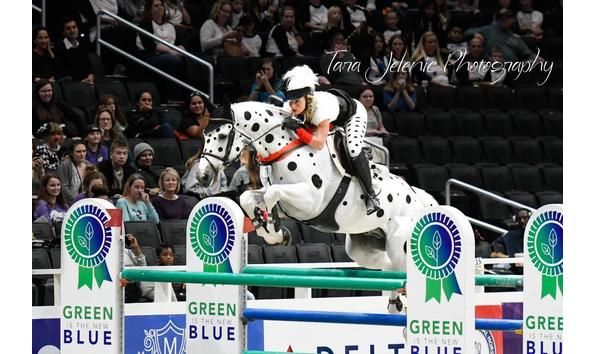 Big image mini magick20201230 47620 6b8sp1