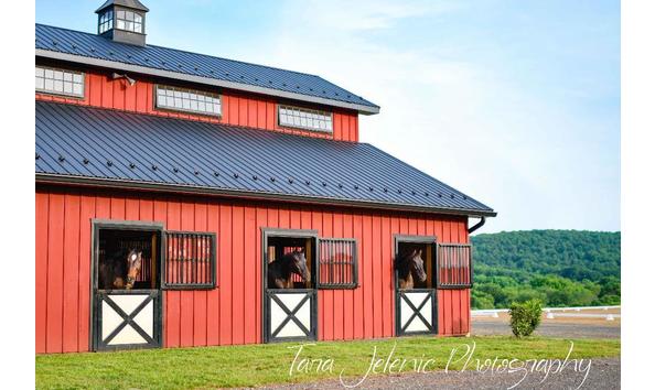 Big image mini magick20201230 47620 nn2tmu