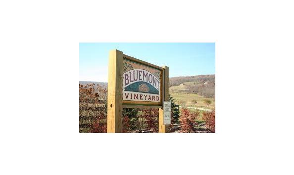 Big image mini magick20201231 17378 102jiwo