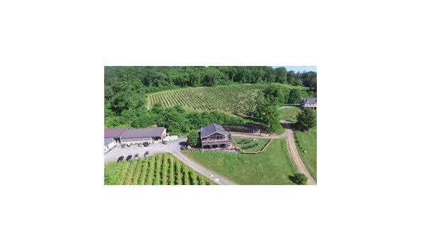 Big image mini magick20201231 17378 1ayxrvr