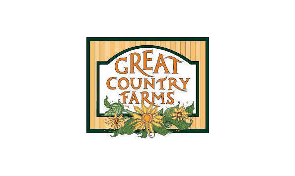 Big image mini magick20201231 17378 1lqlcjf