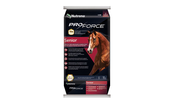 Big image mini magick20210101 69892 1ep0vcp