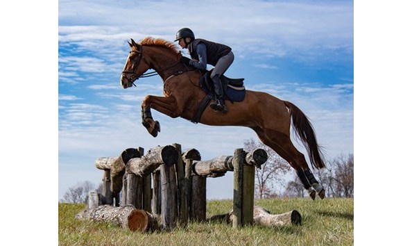 Big image windchase1