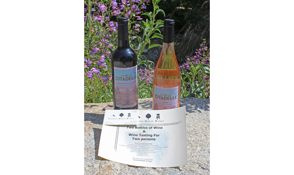 Big image two wines bottles