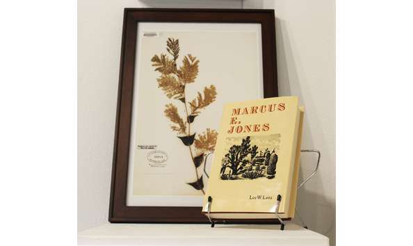 Big image jones book and herbarium specimen