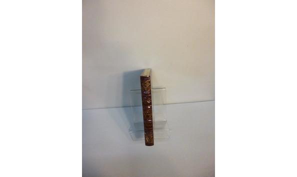 Big image 201904bk018she2