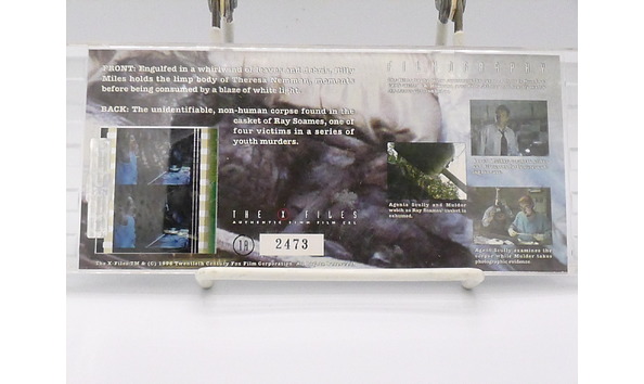 Big image 201904coll001 p1000346