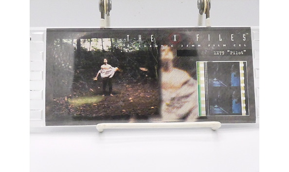 Big image 201904coll001 p1000345