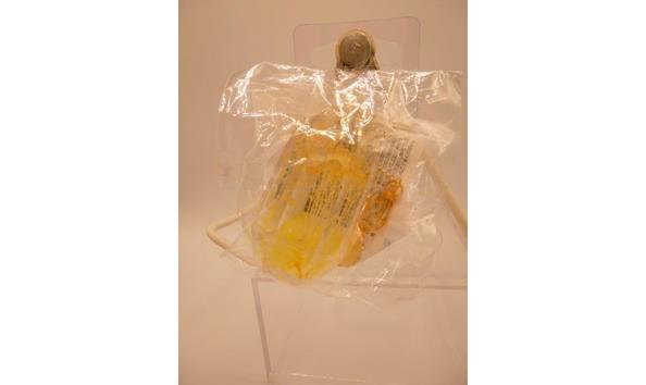 Big image 201905jwy011disneybellekeychain