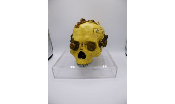 Big image 201810fig003steampunkskull