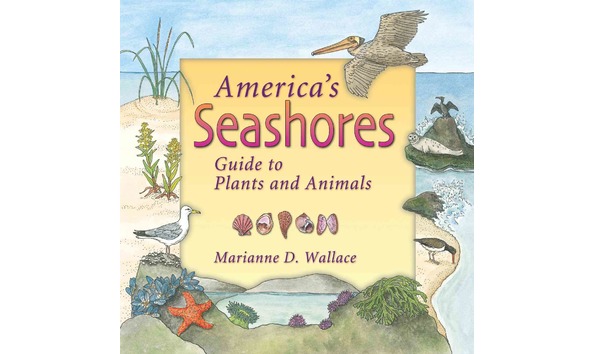 Big image mw seashores