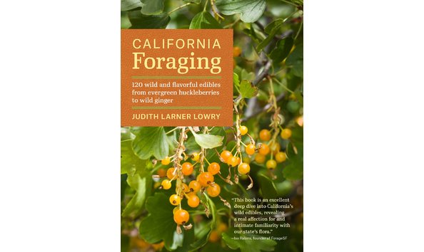 Big image california foraging