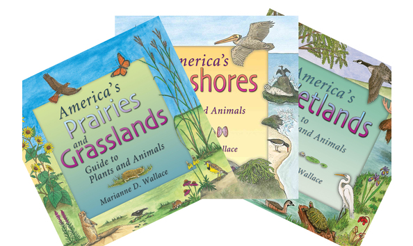 Big image childrens book suite