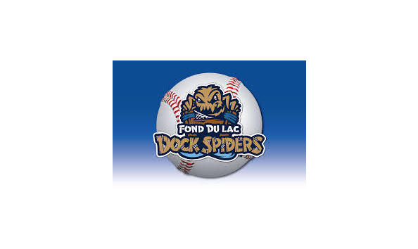 Big image dockspiders