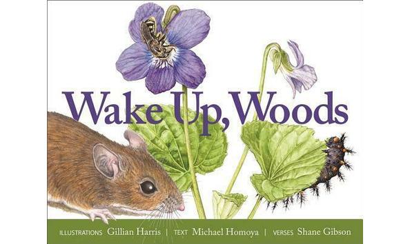 Big image wake up woods