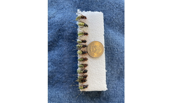 Big image caddis pupae flies