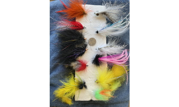 Big image large predator flies