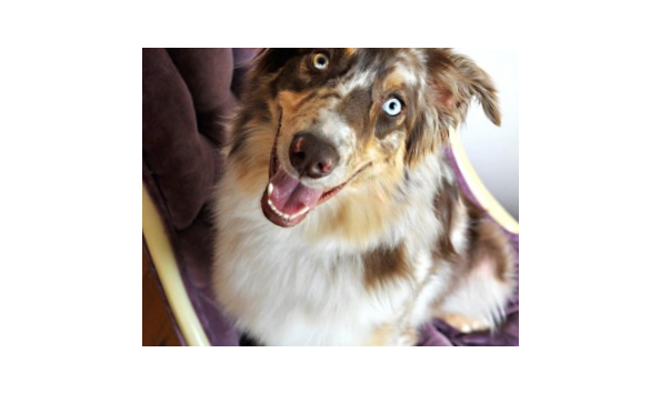 Big image screen shot 2017 04 22 at 11.20.33 pm