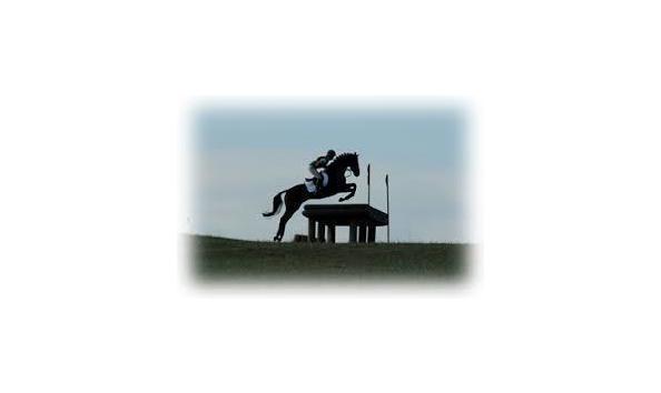 Big image mini magick20210114 10204 15lqm6w