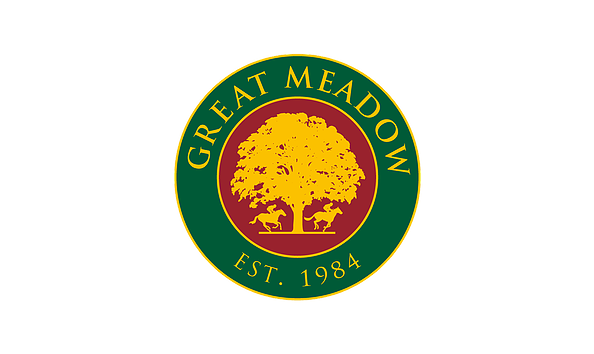 Big image mini magick20210115 10204 pwj2vl