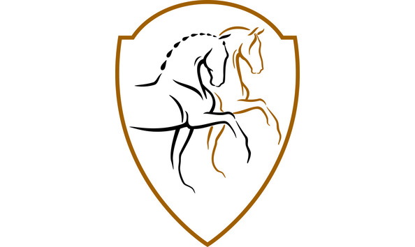 Big image mini magick20210115 10204 1gayrj2