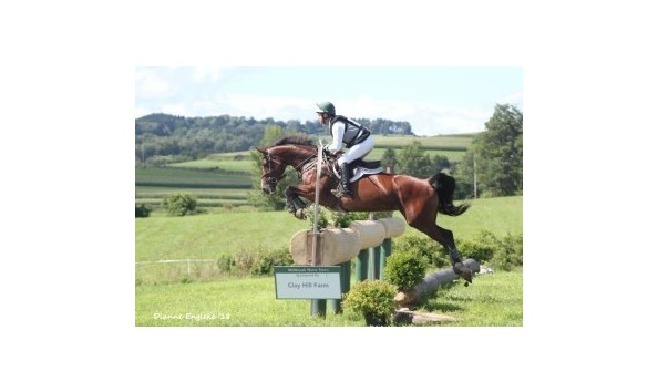 Big image mini magick20210115 92254 1oe52t0