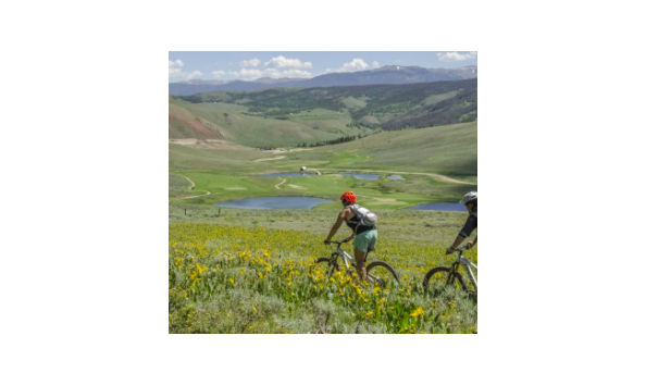 Big image screen shot 2017 04 23 at 5.38.11 pm