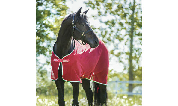 Big image amigo cooler