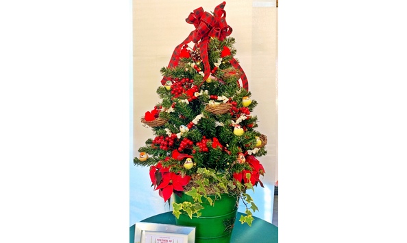 Big image mini magick20210122 52134 1g0yj1q