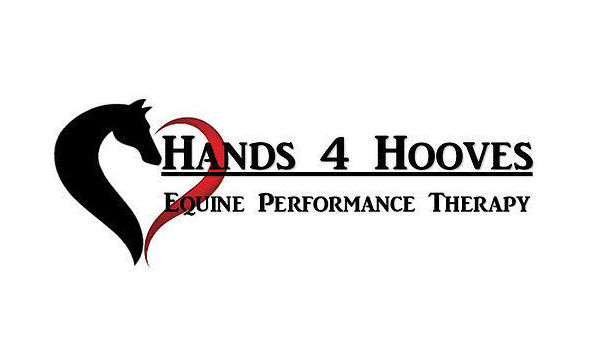 Big image mini magick20210124 28235 107ty0x