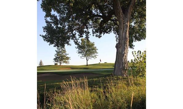 Big image gallery big tree