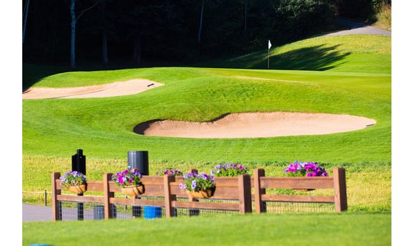 Big image eaglevail1