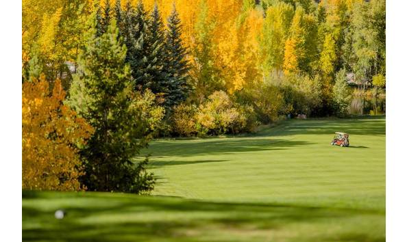 Big image eaglevail2